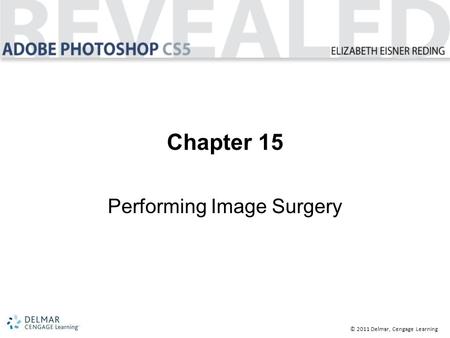 © 2011 Delmar, Cengage Learning Chapter 15 Performing Image Surgery.