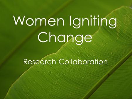 Women Igniting Change Research Collaboration. Overview Domestic violence in Aotearoa Domestic violence research Women leaving Collaborative Research 2.