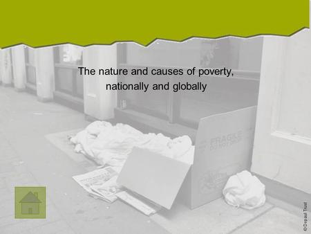Section One The nature and causes of poverty, nationally and globally © Depaul Trust.