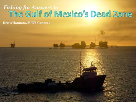 The Gulf of Mexico’s Dead Zone