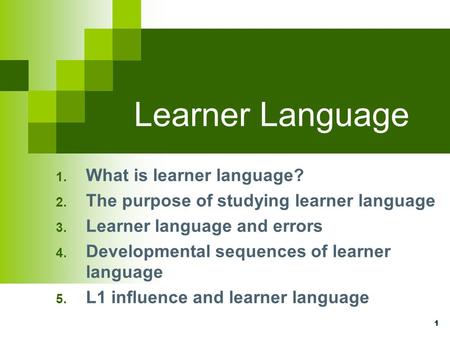 Learner Language What is learner language?