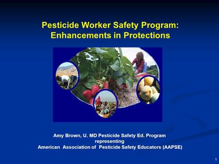 1 Pesticide Worker Safety Program: Enhancements in Protections Amy Brown, U. MD Pesticide Safety Ed. Program representing American Association of Pesticide.