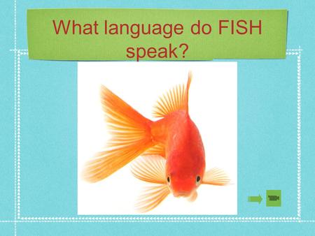 What language do FISH speak?. Learn a Second Language A mouse saved her young from a ferocious cat by barking ‘bow bow’. After the cat ran away, the mouse.