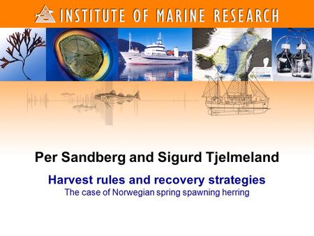 1 1 Per Sandberg and Sigurd Tjelmeland Harvest rules and recovery strategies The case of Norwegian spring spawning herring.