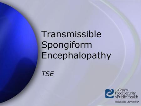 Transmissible Spongiform Encephalopathy TSE. Center for Food Security and Public Health Iowa State University - 2004 Overview Organism History Epidemiology.