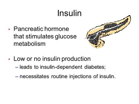 Insulin Pancreatic hormone that stimulates glucose metabolism Low or no insulin production –leads to insulin-dependent diabetes; –necessitates routine.