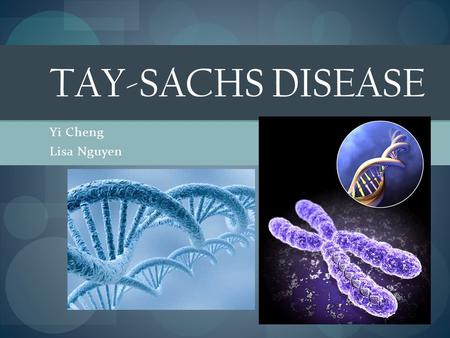 Tay-sachs Disease Yi Cheng Lisa Nguyen.