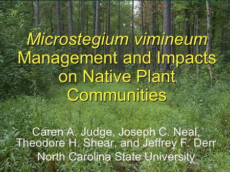 Microstegium vimineum Management and Impacts on Native Plant Communities Caren A. Judge, Joseph C. Neal, Theodore H. Shear, and Jeffrey F. Derr North Carolina.