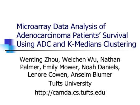 Wenting Zhou, Weichen Wu, Nathan Palmer, Emily Mower, Noah Daniels, Lenore Cowen, Anselm Blumer Tufts University  Microarray Data.