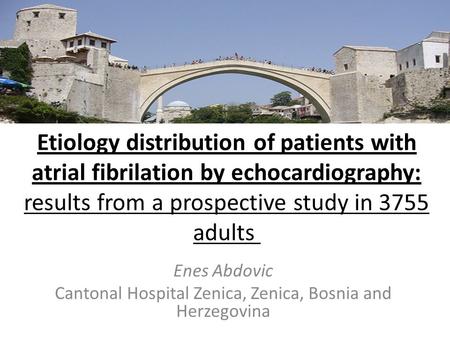 Etiology distribution of patients with atrial fibrilation by echocardiography: results from a prospective study in 3755 adults Enes Abdovic Cantonal Hospital.