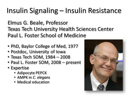 Insulin Signaling – Insulin Resistance Elmus G. Beale, Professor Texas Tech University Health Sciences Center Paul L. Foster School of Medicine PhD, Baylor.