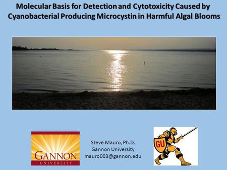 Molecular Basis for Detection and Cytotoxicity Caused by