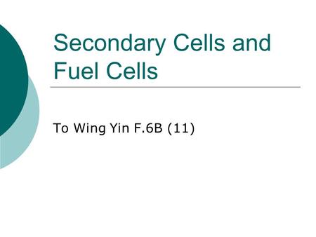 Secondary Cells and Fuel Cells To Wing Yin F.6B (11)