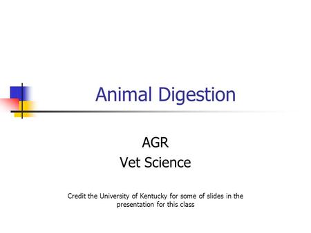 Animal Digestion AGR Vet Science