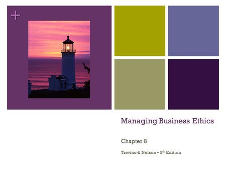 + Managing Business Ethics Chapter 8 Treviño & Nelson – 5 th Edition.