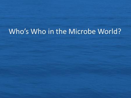 Who’s Who in the Microbe World?. Remember the Six Key Concepts of Marine Microbes Microbes are everywhere, they are extremely abundant and diverse Most.