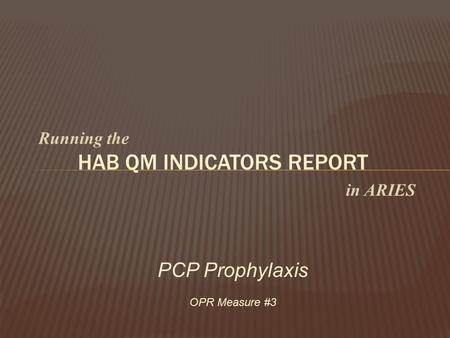 Running the HAB QM INDICATORS REPORT in ARIES PCP Prophylaxis OPR Measure #3.