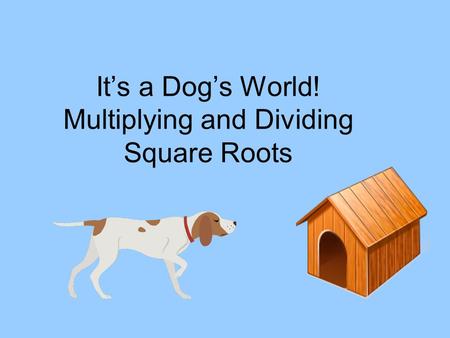 It’s a Dog’s World! Multiplying and Dividing Square Roots.