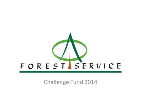 FOREST SERVICE NIEA Challenge Fund 2014. Background Forest Service – An agency of the Department of Agriculture and Rural Development responsible for.