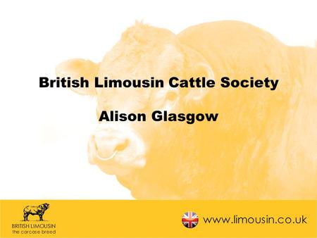 British Limousin Cattle Society Alison Glasgow. What’s been going on? Database development ~ Registrations & Perf. Recording Addition of Online Census.