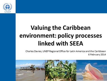 Valuing the Caribbean environment: policy processes linked with SEEA Charles Davies, UNEP Regional Office for Latin America and the Caribbean 6 February.