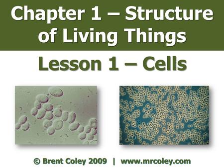 Chapter 1 – Structure of Living Things Lesson 1 – Cells © Brent Coley 2009 | www.mrcoley.com.