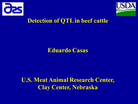 Detection of QTL in beef cattle Eduardo Casas U.S. Meat Animal Research Center, Clay Center, Nebraska.