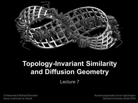 Topology-Invariant Similarity and Diffusion Geometry
