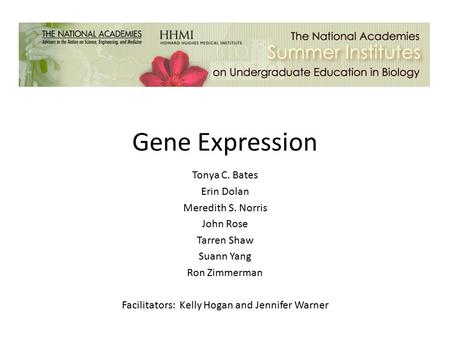 Gene Expression Tonya C. Bates Erin Dolan Meredith S. Norris John Rose Tarren Shaw Suann Yang Ron Zimmerman Facilitators: Kelly Hogan and Jennifer Warner.