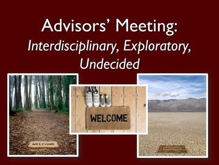 1 Advisors’ Meeting: Interdisciplinary, Exploratory, Undecided.