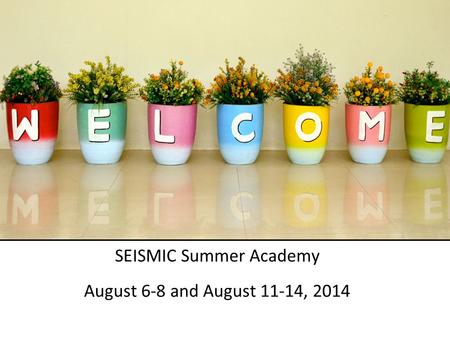 SEISMIC Summer Academy