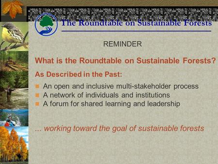 The Roundtable on Sustainable Forests What is the Roundtable on Sustainable Forests? As Described in the Past: An open and inclusive multi-stakeholder.