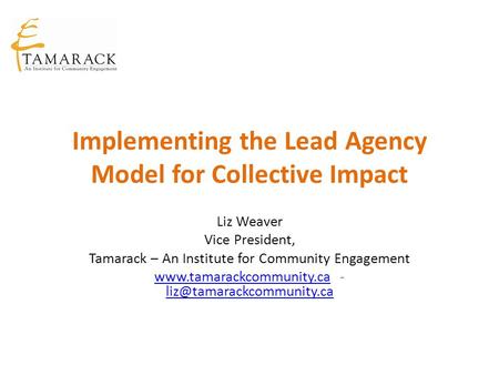 Implementing the Lead Agency Model for Collective Impact