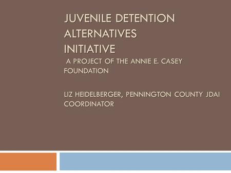 JUVENILE DETENTION ALTERNATIVES INITIATIVE A PROJECT OF THE ANNIE E. CASEY FOUNDATION LIZ HEIDELBERGER, PENNINGTON COUNTY JDAI COORDINATOR.