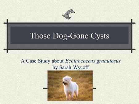 A Case Study about Echinococcus granulosus by Sarah Wycoff