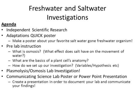 Freshwater and Saltwater Investigations Agenda Independent Scientific Research Adaptations QUICK poster – Make a poster about your favorite salt water.