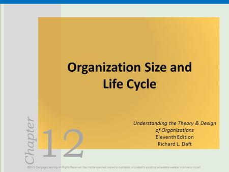 Organization Size and Life Cycle