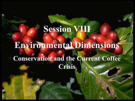 Session VIII Environmental Dimensions Conservation and the Current Coffee Crisis.