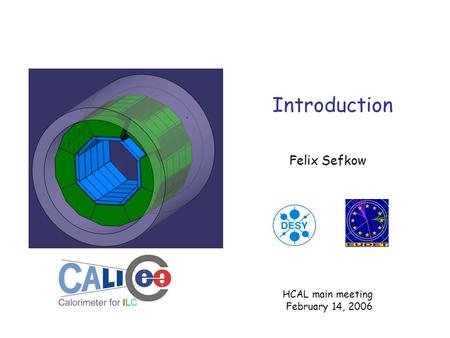 Introduction Felix Sefkow HCAL main meeting February 14, 2006.
