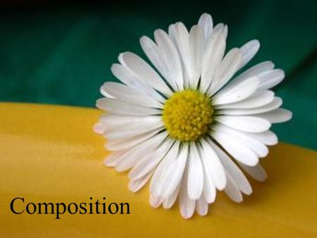 Composition. Photographic composition is simply the selection and arrangement of subjects within the picture area.