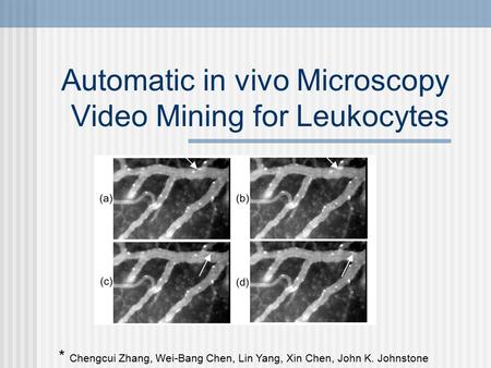 Automatic in vivo Microscopy Video Mining for Leukocytes * Chengcui Zhang, Wei-Bang Chen, Lin Yang, Xin Chen, John K. Johnstone.