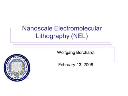 Nanoscale Electromolecular Lithography (NEL) Wolfgang Borchardt February 13, 2008.