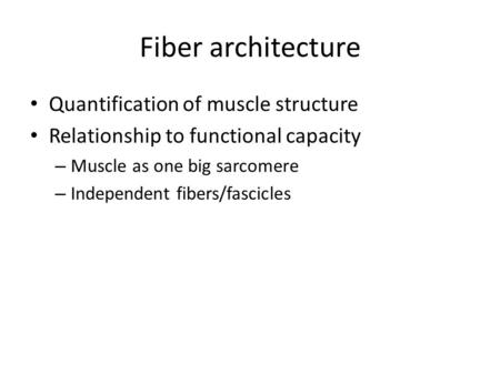 Fiber architecture Quantification of muscle structure Relationship to functional capacity – Muscle as one big sarcomere – Independent fibers/fascicles.