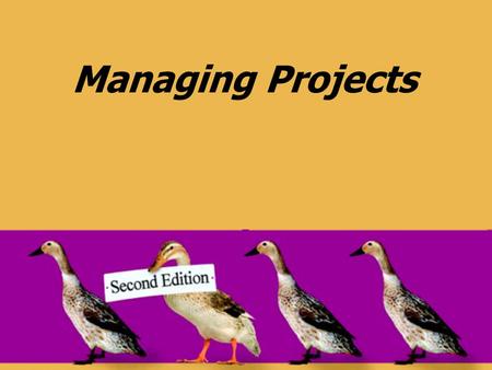 Managing Projects.