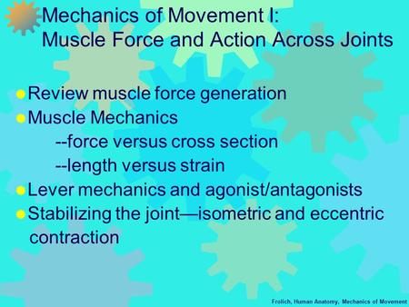 Frolich, Human Anatomy, Mechanics of Movement Mechanics of Movement I: Muscle Force and Action Across Joints  Review muscle force generation  Muscle.