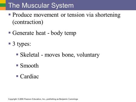 The Muscular System Produce movement or tension via shortening (contraction) Generate heat - body temp 3 types: Skeletal - moves bone, voluntary Smooth.