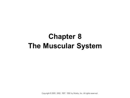 Copyright © 2005, 2002, 1997, 1992 by Mosby, Inc. All rights reserved. Chapter 8 The Muscular System.