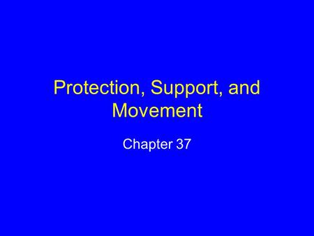 Protection, Support, and Movement