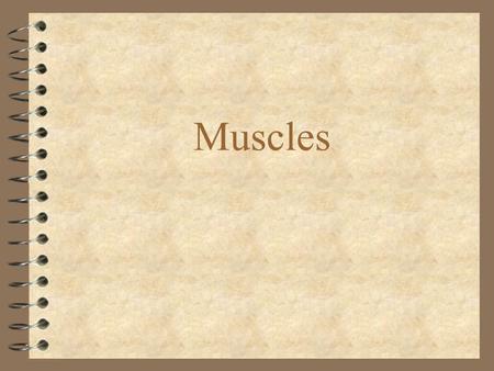 Muscles. Types of Muscle 4 Smooth - involuntary 4 Skeletal - voluntary 4 Cardiac - involuntary.