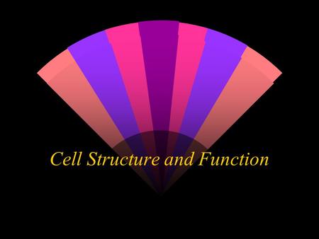 Cell Structure and Function. w The discovery and the basic theory of cells. w Cell size and number. w The two major kinds of cells. w Plant cells and.